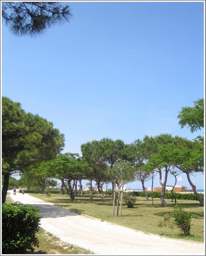 Locations Meublees Plage Des Pins Argelès-sur-Mer Εξωτερικό φωτογραφία